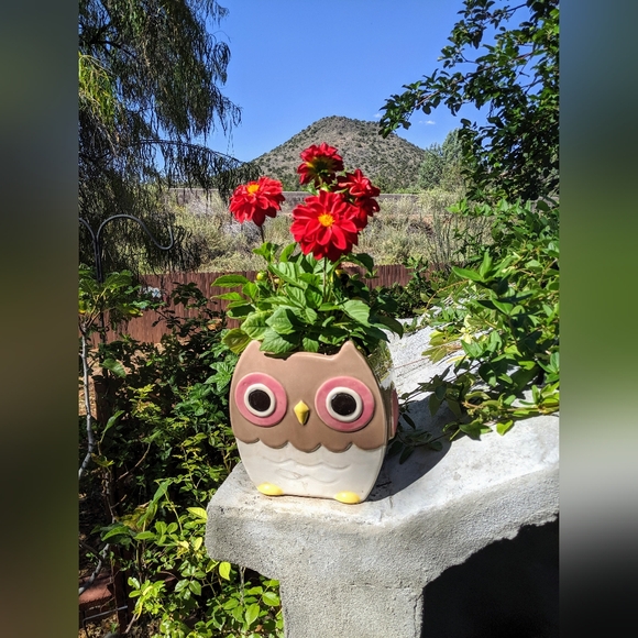 Meet your Posher, Donna - Picture 3 of 3